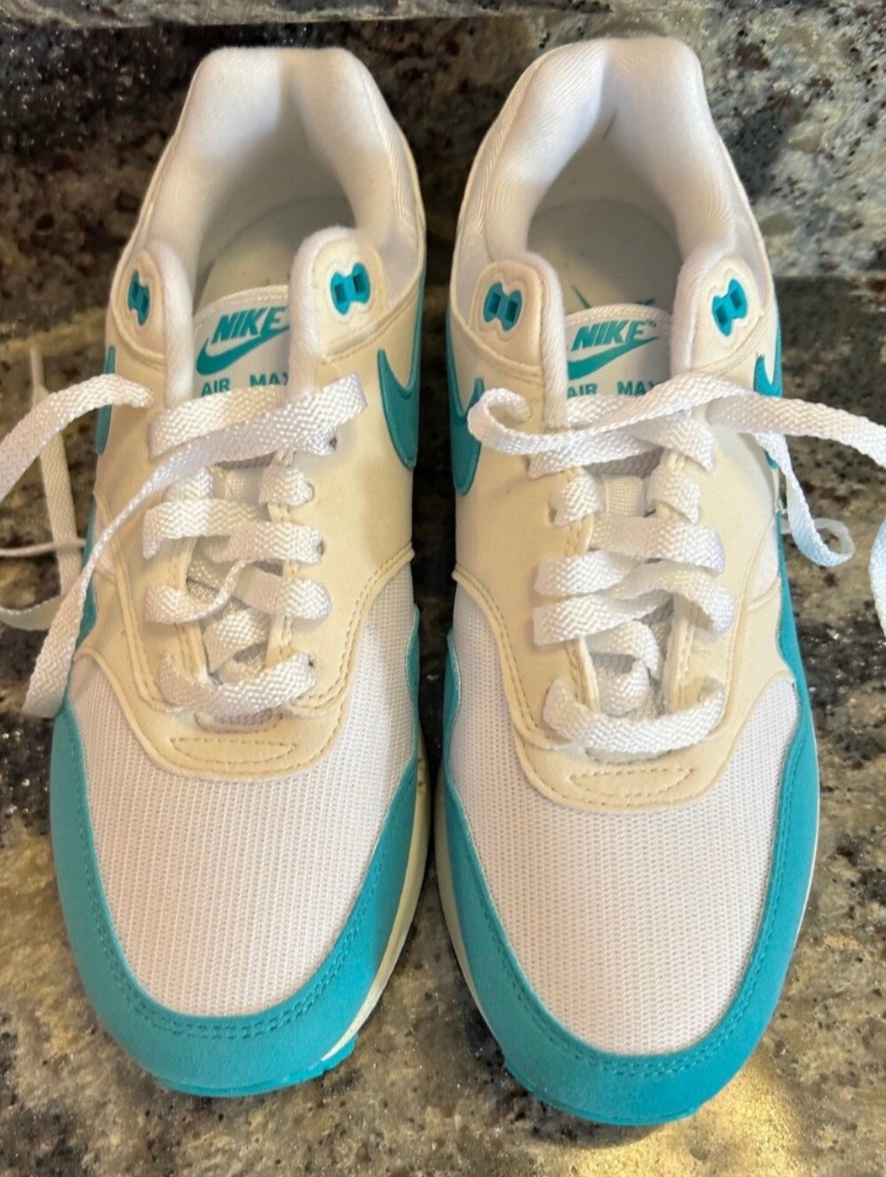 Nike Air Max 1 DUSTY CATUS